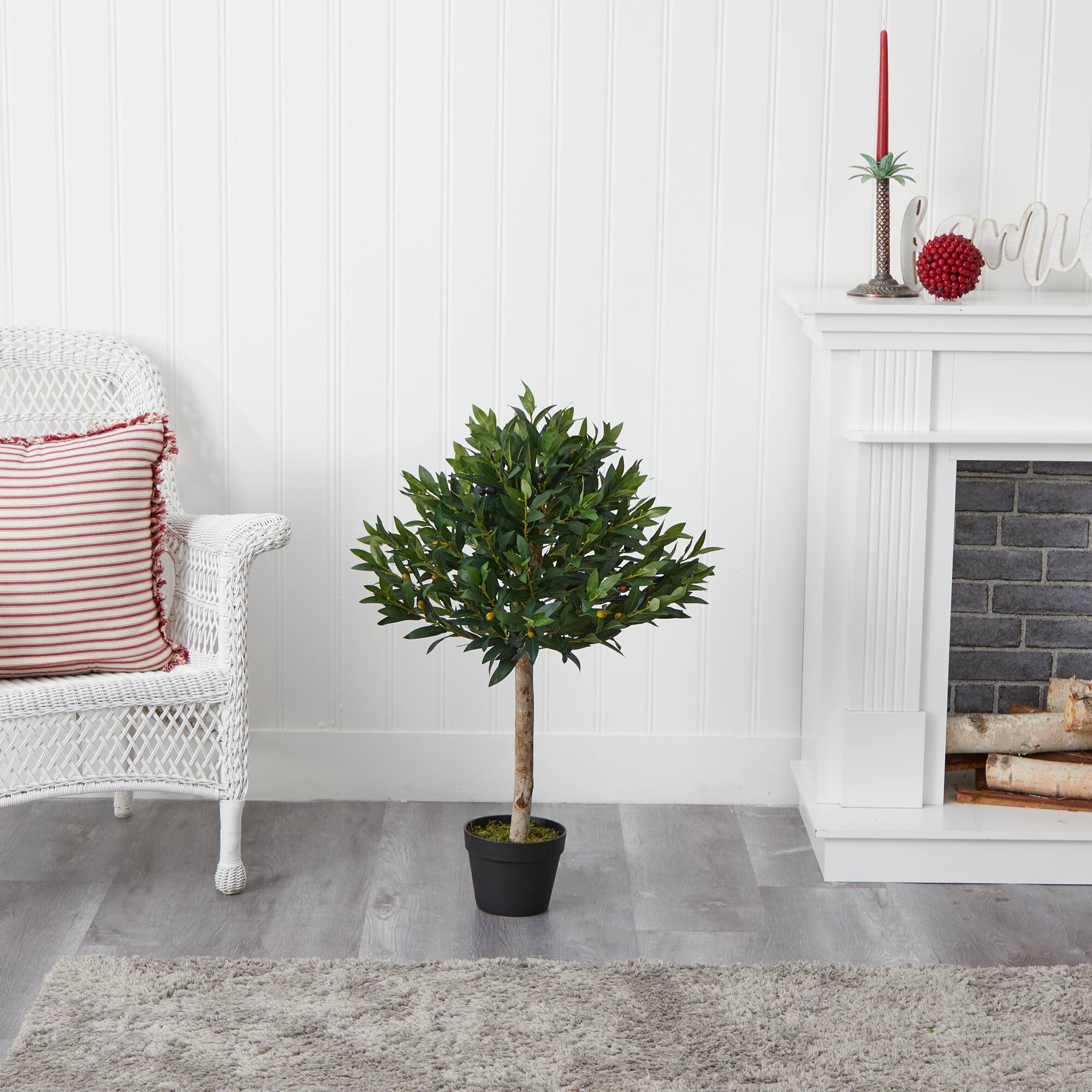 3ft. Potted Olive Topiary Tree